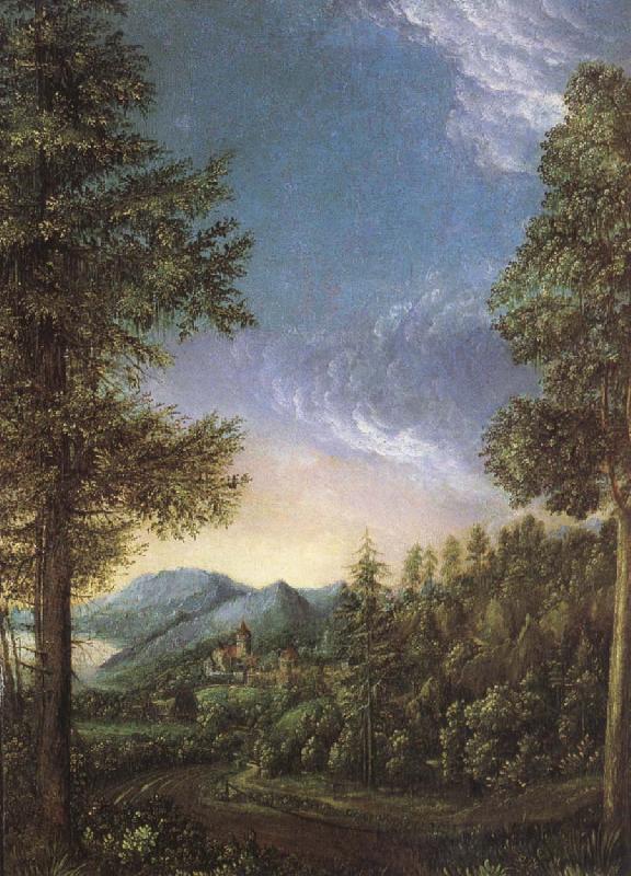 Albrecht Altdorfer View from Danube